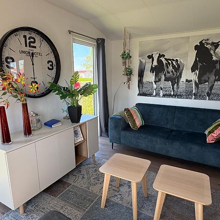 Olmenduin | Chalet 26 | Zeeland سيروسكيرك المظهر الخارجي الصورة